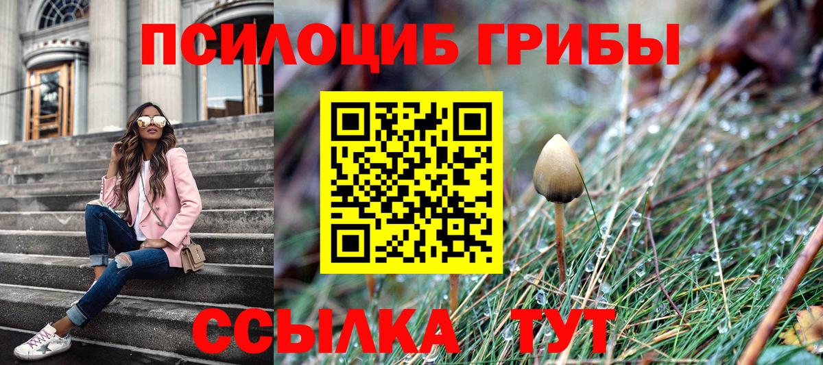 Галлюциногенные грибы прущие грибы Зеленокумск